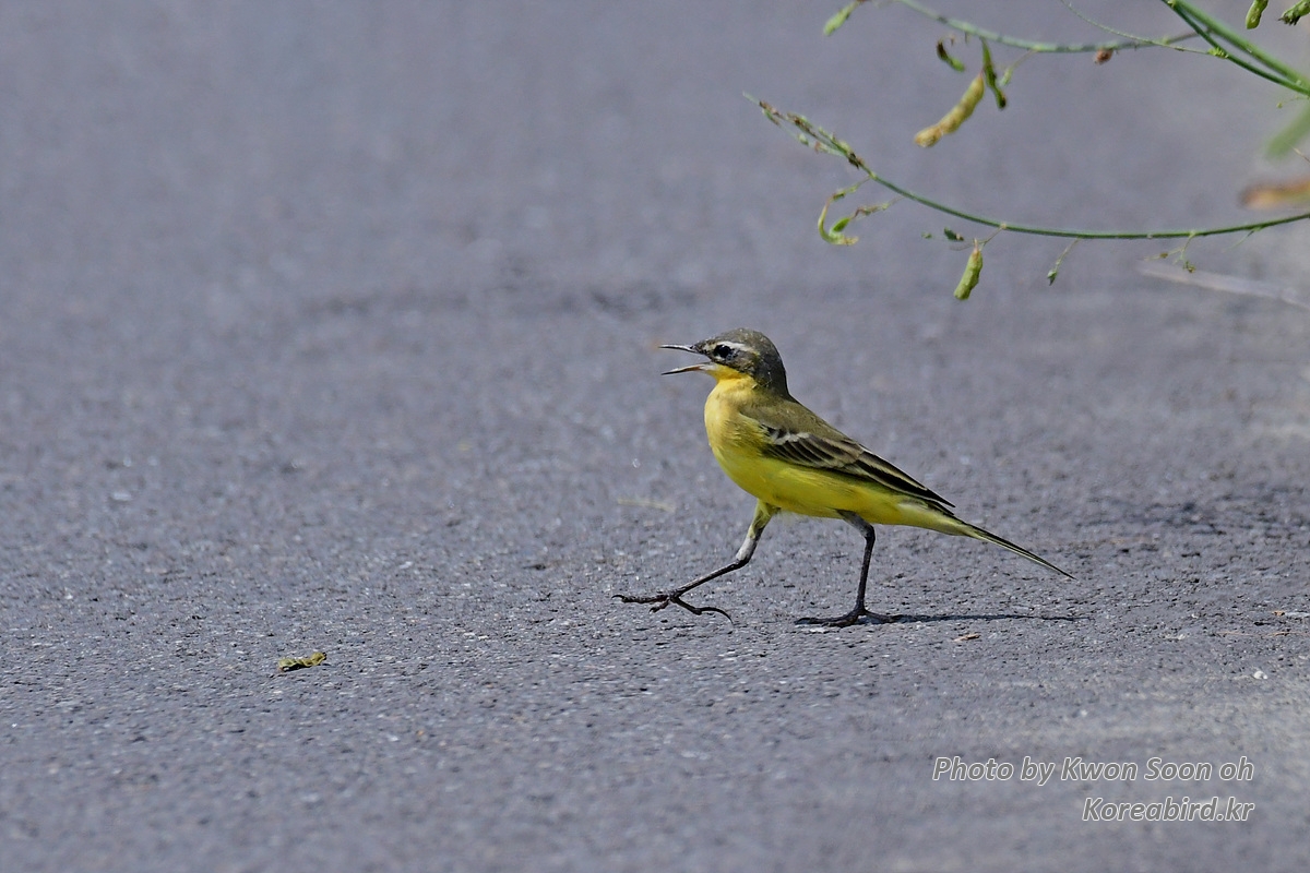 DSC_8875.jpg